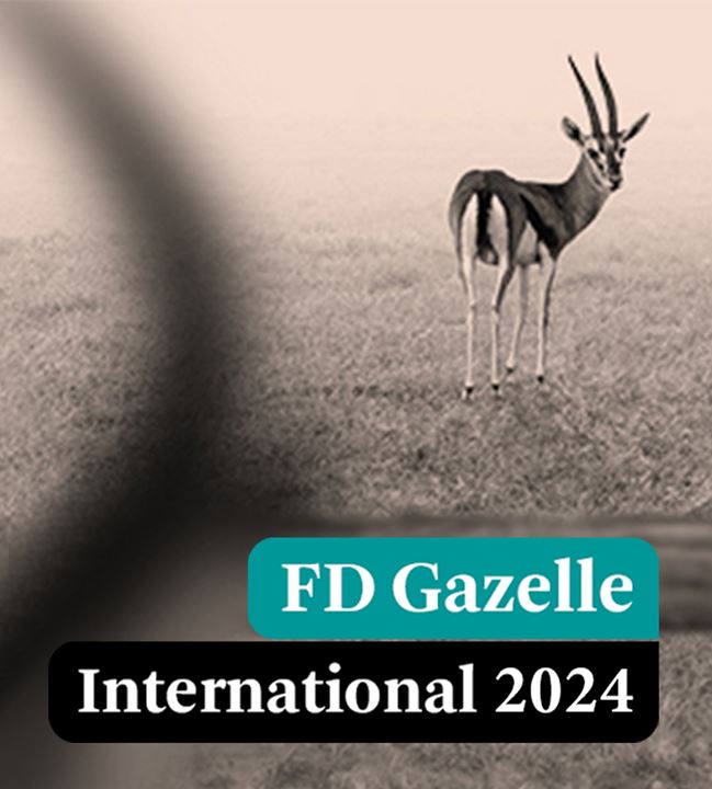 FD Gazelle International Award 2024 for Global Mounts Group
